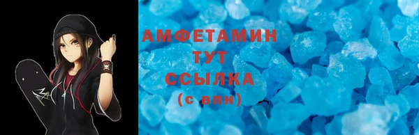 прущие грибы Березники