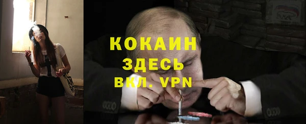 мяу мяу мука Белокуриха
