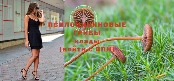 стаф Михайловск