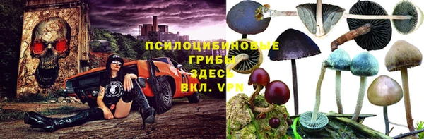 мескалин Михайлов