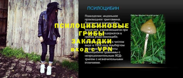 мескалин Михайлов