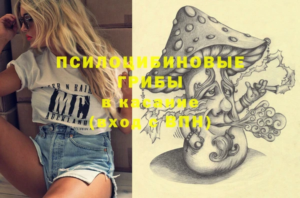 стаф Михайловск