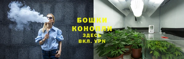 стаф Михайловск