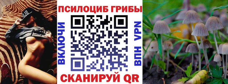 купить   Советский  Галлюциногенные грибы Psilocybe 
